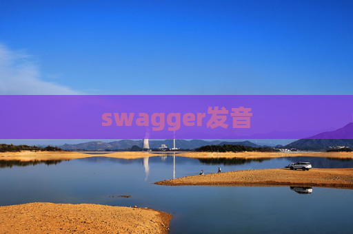 swagger发音